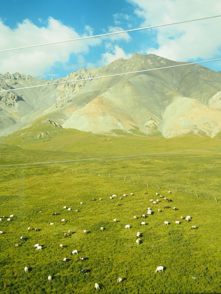 Expansive Gansu grasslands from the train window