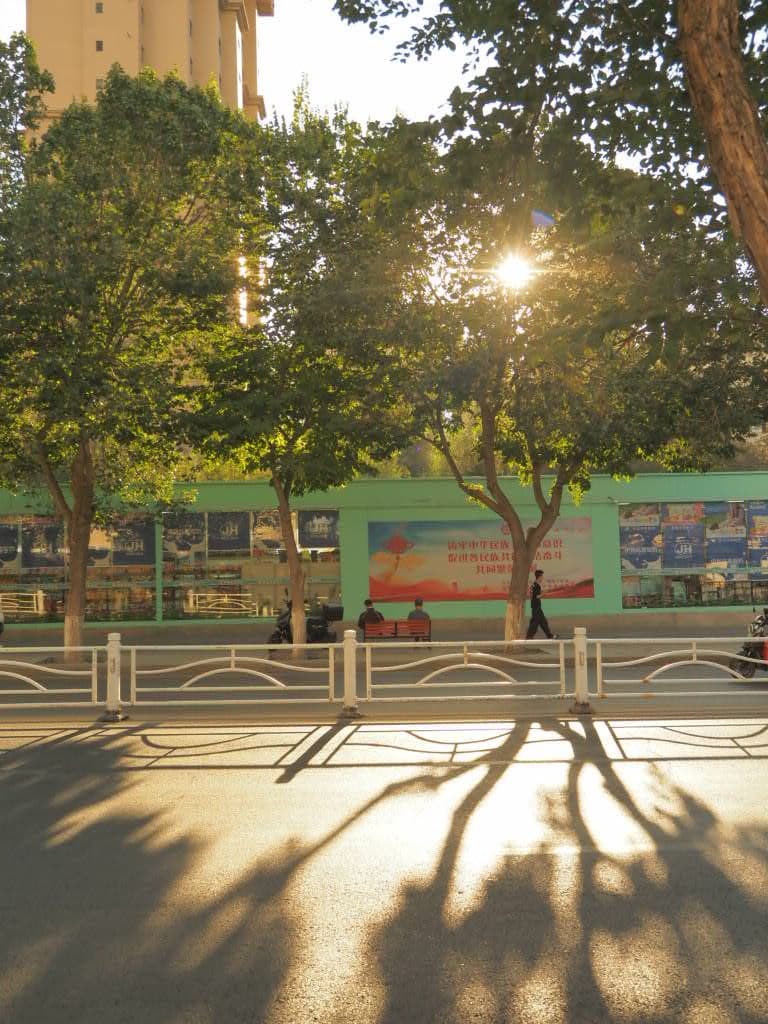 A street scene glowing with warm afternoon sun
